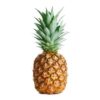 Pineapple 1 ct