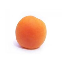 Regular Apricot Small 1 LB