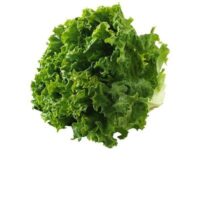 Green Leaf Lettuce / Each
